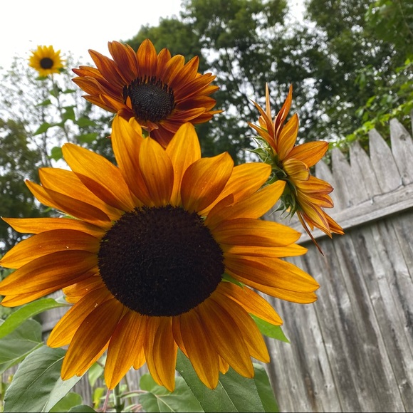 LIVE now 🙋🏻‍♀️💜 - Picture 10 of 11